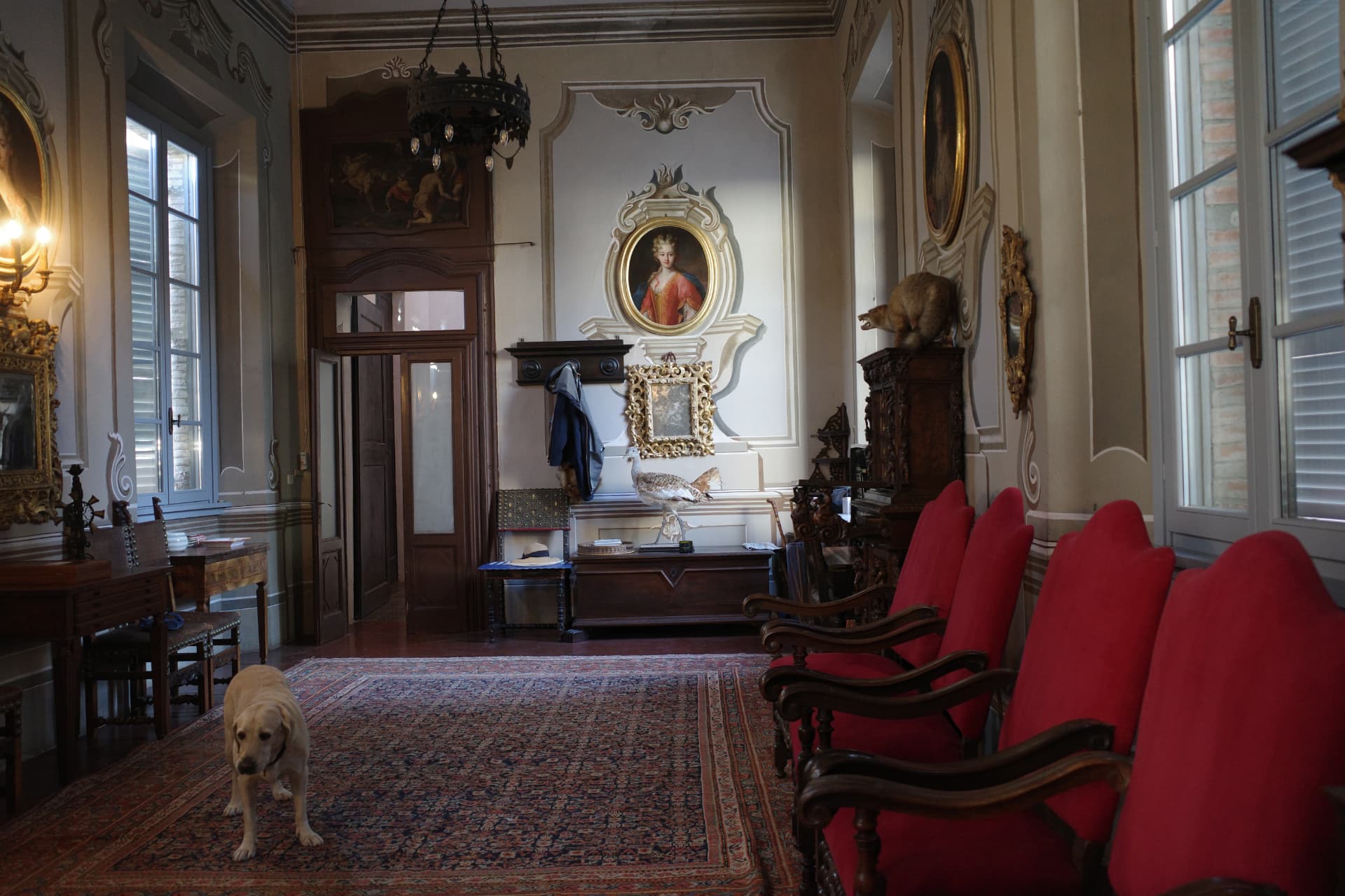 Palatsets salong med röda fåtöljer, en stor matta och ett porträtt i oval ram, och en hund som går över mattan